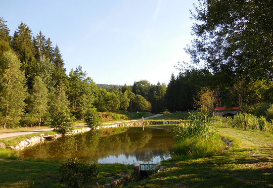 location chalet vosges avec etang prive
