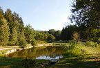 Concours de pêche dans les Vosges