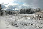 Location meublés dans les Vosges