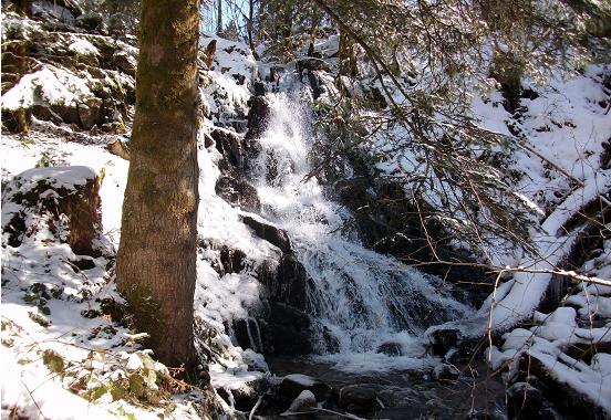 Rivière des Vosges, le Bouchot