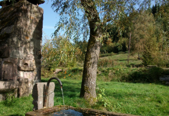 Meublés de tourisme dans les Vosges : Equipements collectifs