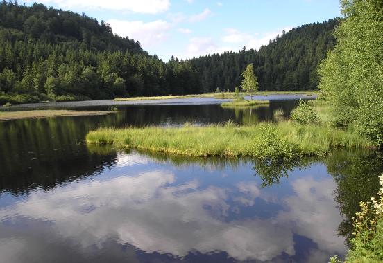 Activités de tourisme dans les Vosges