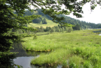 Lispach, crêtes des Vosges