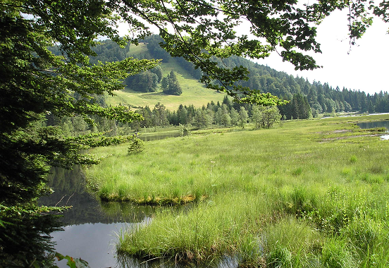 Location ferme vosgienne